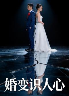 《婚变识人心》