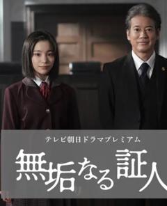 《无垢的证人》