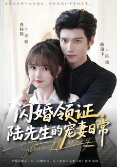 《闪婚领证，陆先生的宠妻日常》