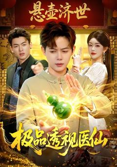 《极品透视医仙》