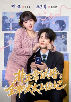 《非正常试婚：全职太太上位记》