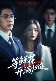 《等鲜花开满归途》