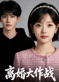 《离婚大作战》