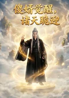 傻婿觉醒，诸天跪迎