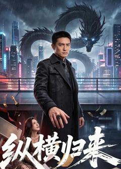《纵横归来》