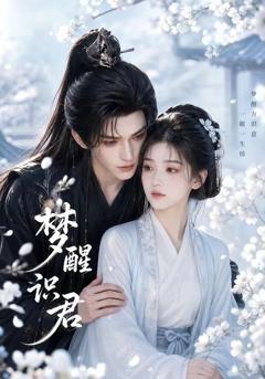 《梦醒识君》