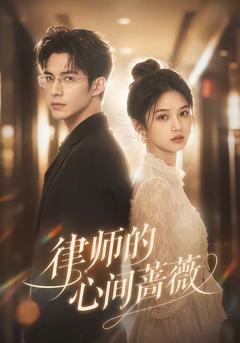 《律师的心间蔷薇》