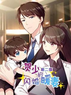 《贺少的闪婚暖妻第二季》