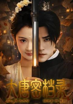 《大唐密档录》