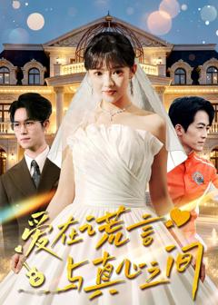 《爱在谎言与真心之间》