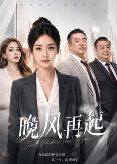 《晚风再起》