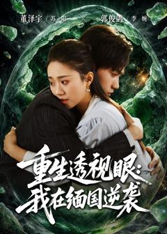 《重生透视眼：我在缅国逆袭》