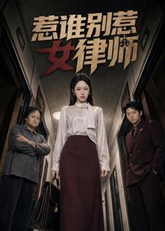 《惹谁别惹女律师》