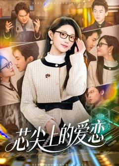 《芯尖上的爱恋》