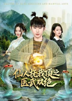 《仙人抚我顶之医武双绝》