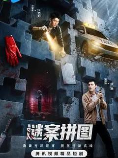 《谜案拼图》