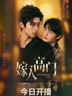 《嫁入高门 ​​​》